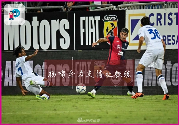 杨鸣全力支持杜教练