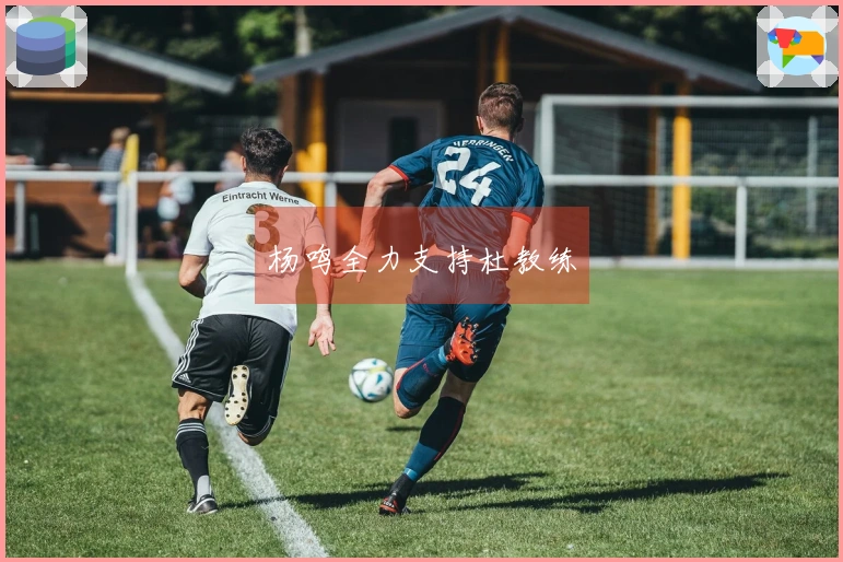 杨鸣全力支持杜教练